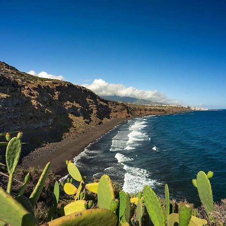 Dragos Del Mar , Espacio Natural La Orotava Bagian luar foto