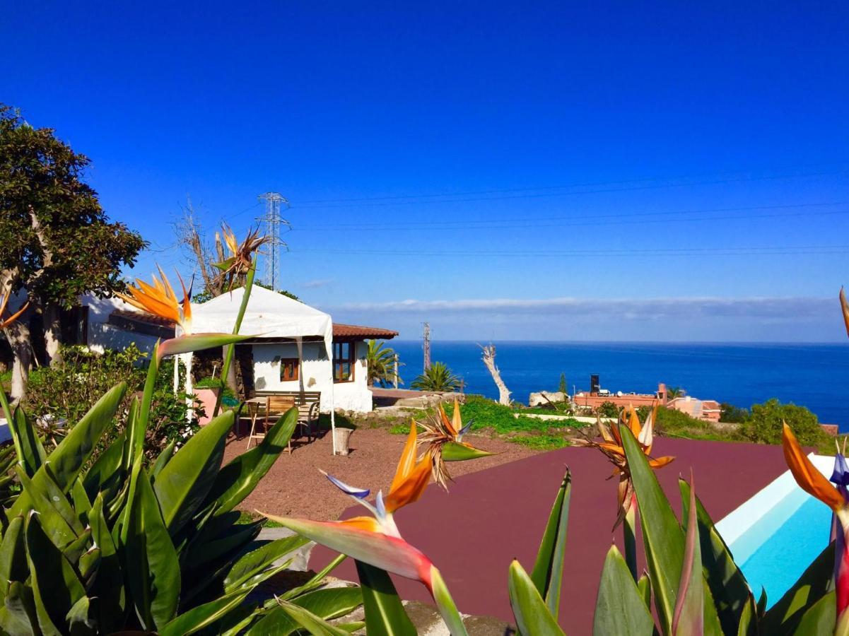 Dragos Del Mar , Espacio Natural La Orotava Bagian luar foto