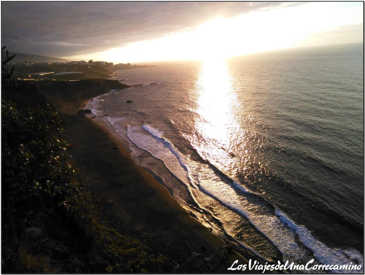 Dragos Del Mar , Espacio Natural La Orotava Bagian luar foto