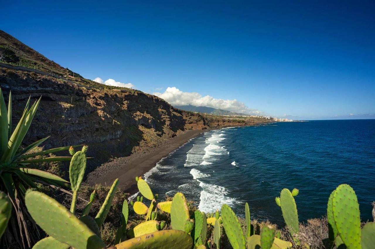 Dragos Del Mar , Espacio Natural La Orotava Bagian luar foto